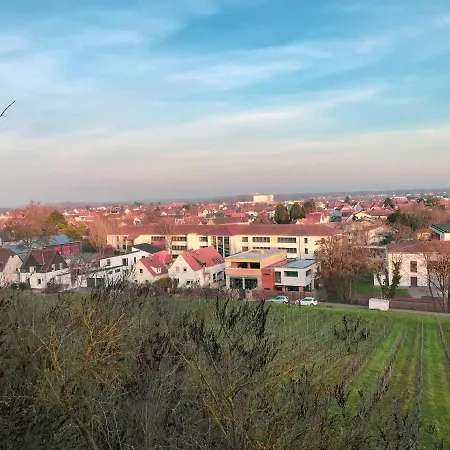Das Haus Am Bach - Schoene Grosse Moderne Wohnung Mit Terrasse Osthofen Zewnętrze zdjęcie